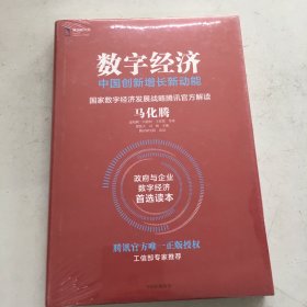 数字经济：中国创新增长新动能