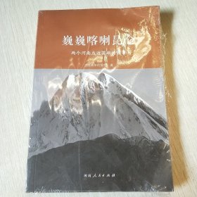 巍巍喀喇昆仑：两个河南戍边英雄的故事