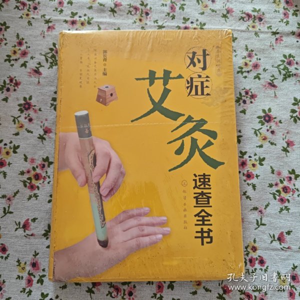 养生轻图典：对症艾灸速查全书