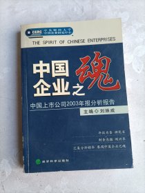 中国企业之魂：中国上市公司2003年报分析报告