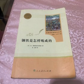 统编语文教材配套阅读 八年级下：钢铁是怎样炼成的/名著阅读课程化丛书