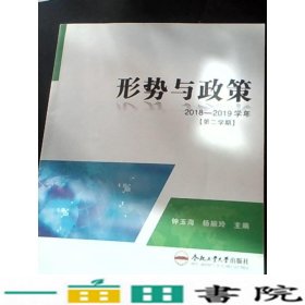 形势与政策2018-2019学年第2学期钟玉海杨婉玲合肥工业大学出9787565044175