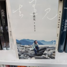 去遇见（通透的杨天真，带你去往辽阔世界，「暂停努力」完成一次自我刷新。见山见海，终见自己）
