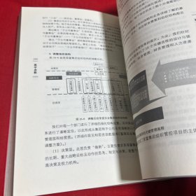 高手身影：中国商业原生态实战案例