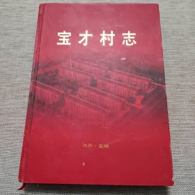 宝才村志