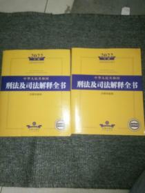 2022年版中华人民共和国刑法及司法解释全书（含指导案例）