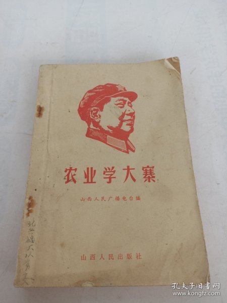 农业学大寨