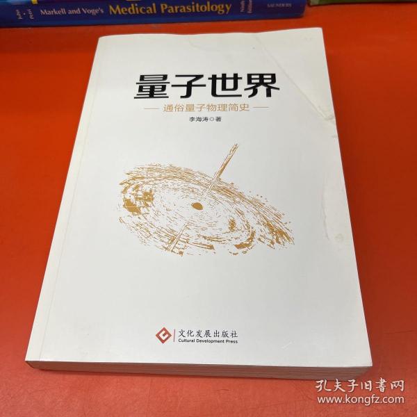 量子世界：通俗量子物理简史