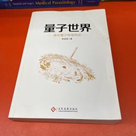 量子世界：通俗量子物理简史