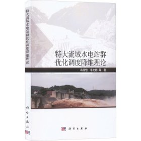 特大流域水电站群优化调度降维理论9787030723499