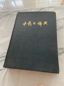 中药大辞典 附编 精装见图