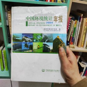 中国环境统计年报2004