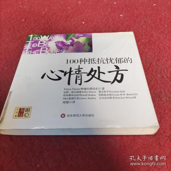 100种抵抗忧郁的心情处方