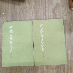 中国文学发展史（上下）