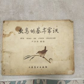 画鸟的基本常识品相如图