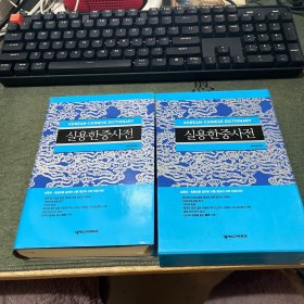 实用韩中词典 韩文原版 韩版 韩语版
