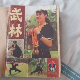 武林杂志合订本（1984年1——12）