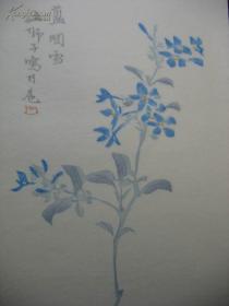 王师子花卉笺，荣宝斋木版水印，6种6张，不含笺封