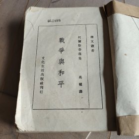 战争与和平（译文丛书）