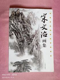 宋文治画集