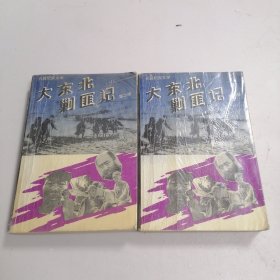 大东北剿匪记 第一部 第二部 2本合售