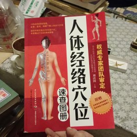 人体经络穴位速查图册