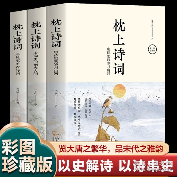 全套3册 枕上诗词书 一诗一词念红尘一字一句品人生领略古诗词之美排解当下的忧愁与焦虑提升文化气质与内涵中国古诗词阅读书籍