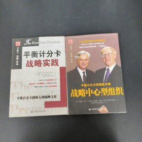 平衡计分卡战略实践、战略中心型组--平衡记分卡的致胜方略  2本合售