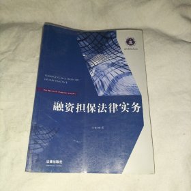 深圳律师实务丛书：融资担保法律实务