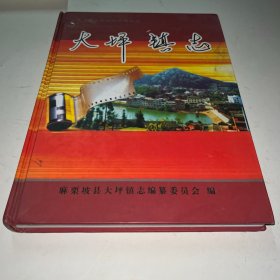 大坪镇志 云南麻栗坡县