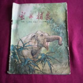 密林捕象