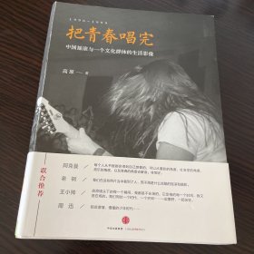 把青春唱完：中国摇滚与一个文化群体的生活影像