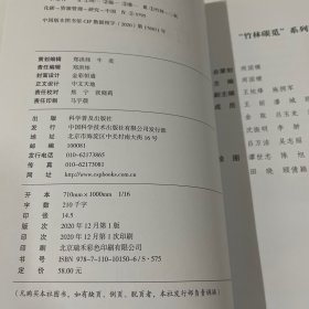 竹林碳觅