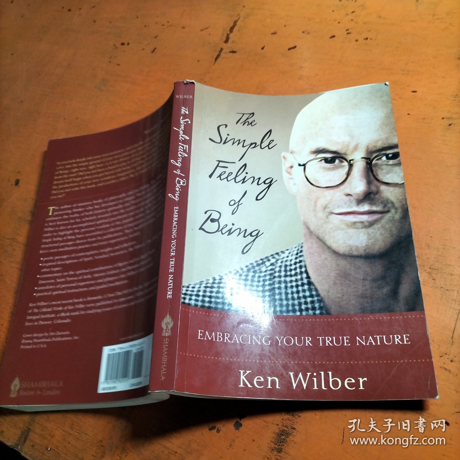The Simple Feeling of Being: Visionary, Spiritual, and Poetic Writings