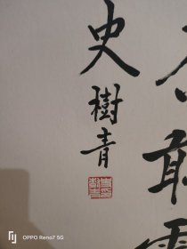 史树青