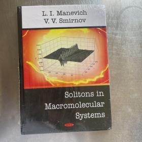 solitons in macromolecular systems