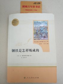 统编语文教材配套阅读 八年级下：钢铁是怎样炼成的/名著阅读课程化丛书