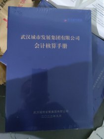 武汉城市发展集团有限公司会计核算手册(大16开)(S20)