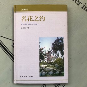 松江文丛    名花之约（故事集）