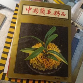 中国兰花精品:投资与栽培
