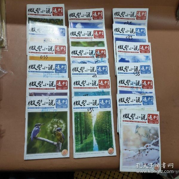 微型小说选刊 2022  1、2、3、6、7、8、9、11、13、14、15、16、17、18、19、20、21、22、23(19本合售)
