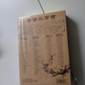 唐诗三百首4DVD   中华国学  启蒙宝典