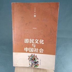 游民文化与中国社会