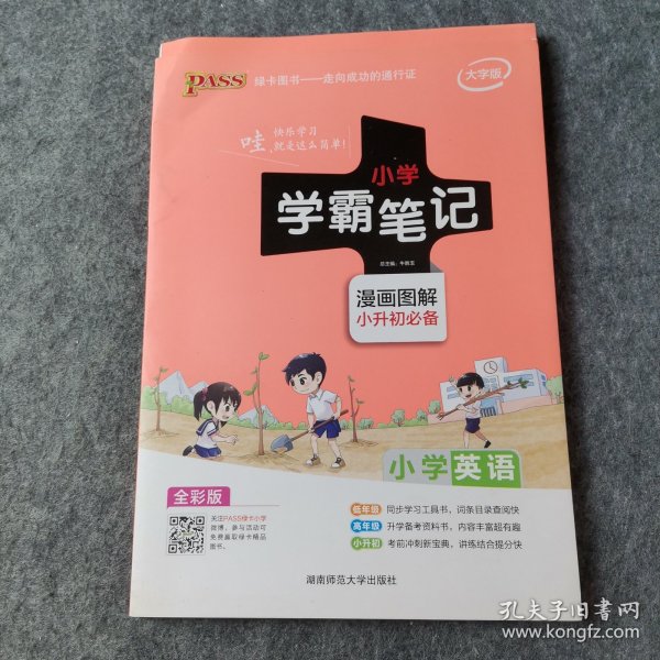 2018版 绿卡图书 学霸笔记漫画图解：小学英语（小升初必备 通用版 大字版 全彩版）