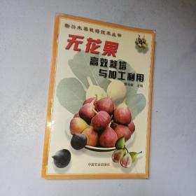 无花果高效栽培与加工利用——新兴水果栽培技术丛书