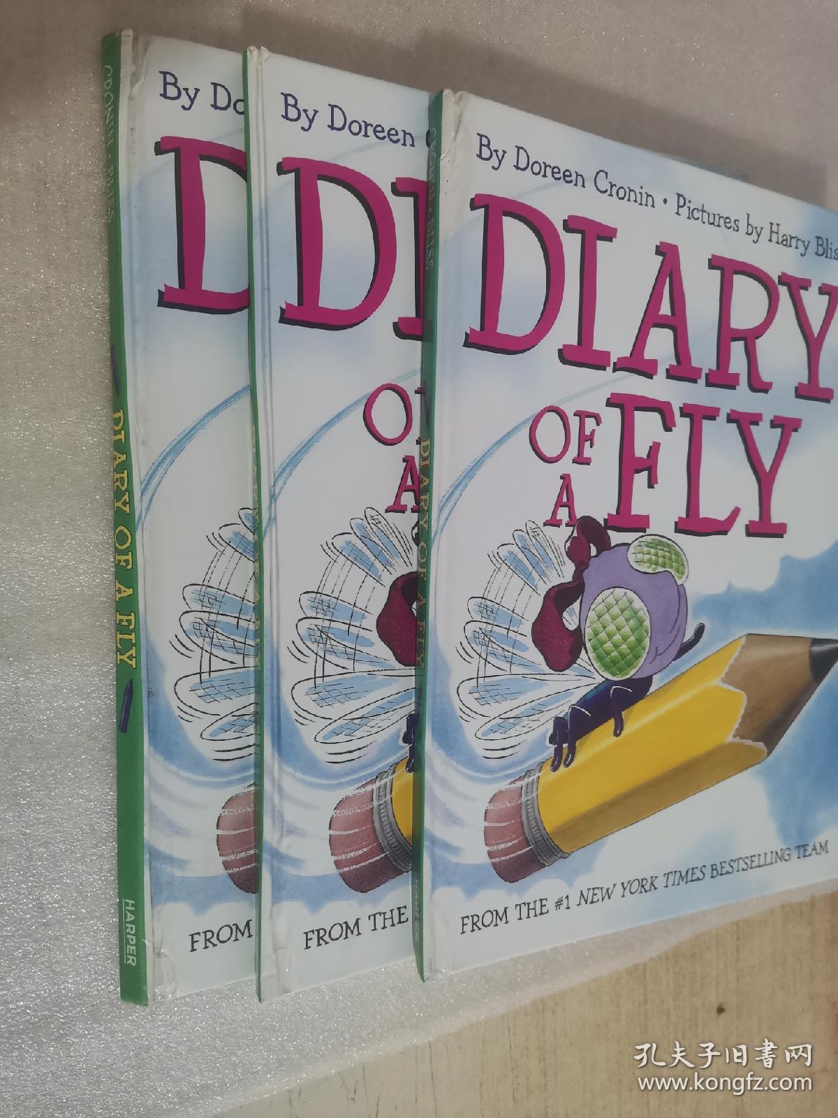 Diary of a Fly