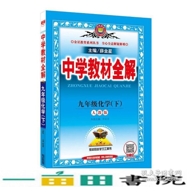 中学教材全解 九年级化学下 人教版 2017春