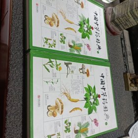 中国中草药图典（上下）