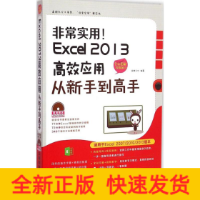 非常实用!Excel 2013高效应用从新手到高手