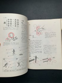 図説東洋医学（馆藏书 精装本）